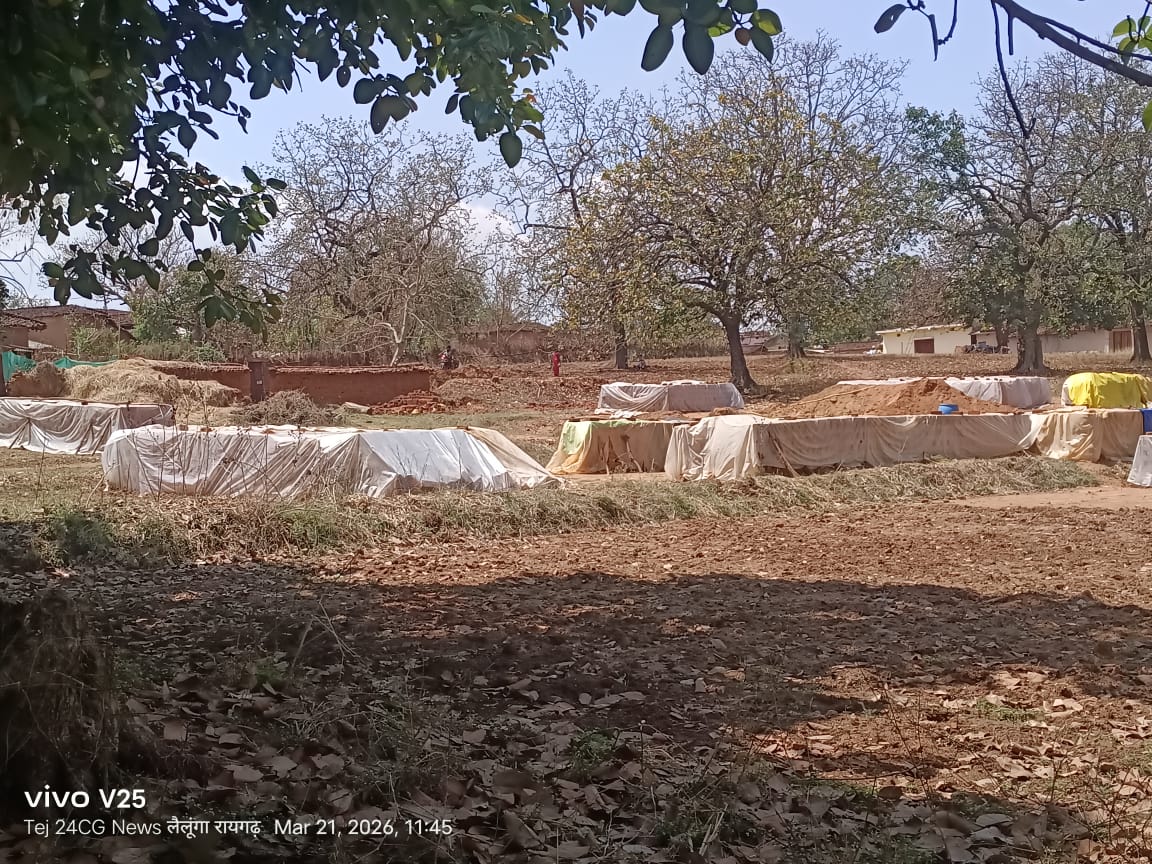 “लाल ईंट के धंधे में जल रहे जंगल, प्रशासन मौन! लैलूंगा में लकड़ी माफिया बेलगाम”